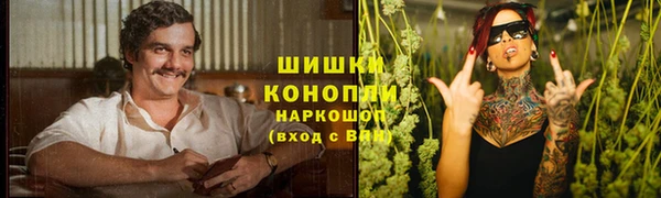PSILOCYBIN Алексеевка