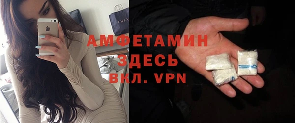 индика Снежногорск