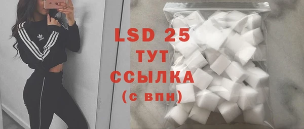 PSILOCYBIN Алексеевка