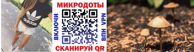 Галлюциногенные грибы Psilocybine cubensis  как найти закладки  гидра сайт  Бабаево 